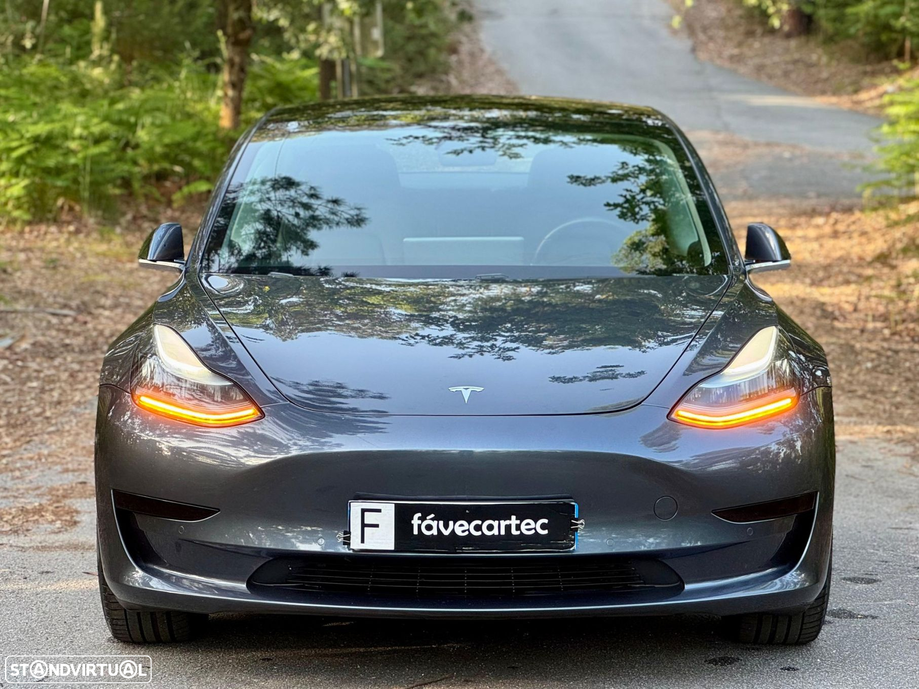 Tesla Model 3 Standard Range Plus RWD - 21