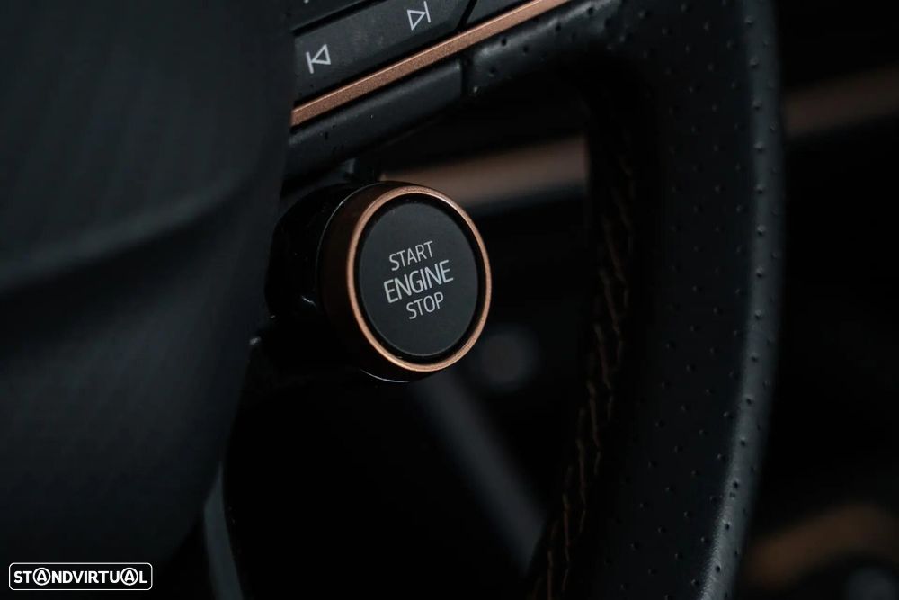 Cupra Formentor 2.0 TDI DSG - 14
