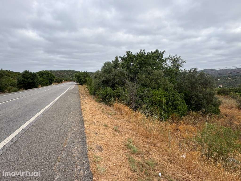 Terreno Agrícola de 78.820 m² entre Tôr, Salir e Querença, Algarve - Grande imagem: 2/16