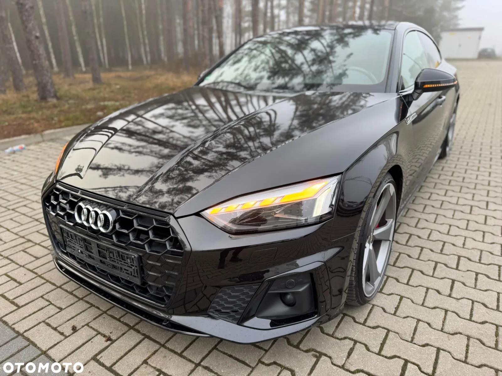 Audi A5 Sportback 3.0 TDI quattro S tronic sport - 33