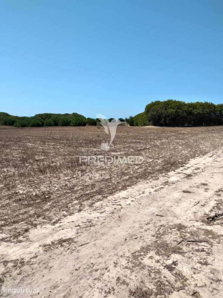 Quintinha com 7200 m2,Porto Côvo. - Grande imagem: 5/9