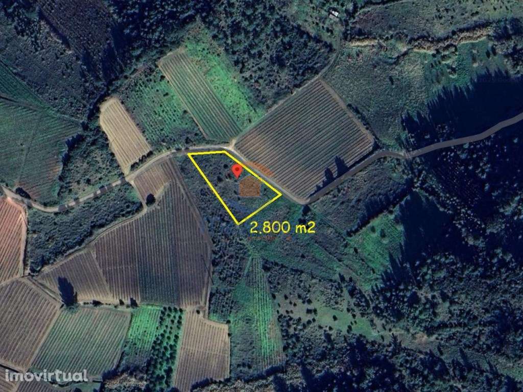 Terreno agrícola 2.800 m2 | Maxial, Torres Vedras - Grande imagem: 2/3