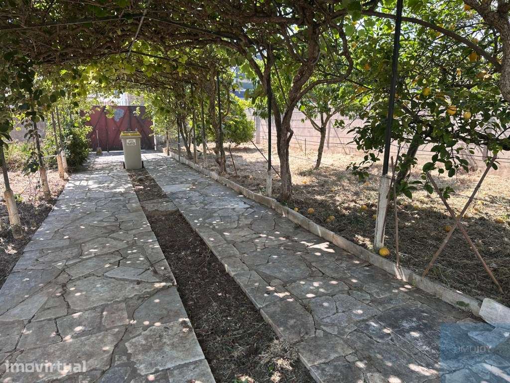 Terreno no Penedo - Grande imagem: 5/20