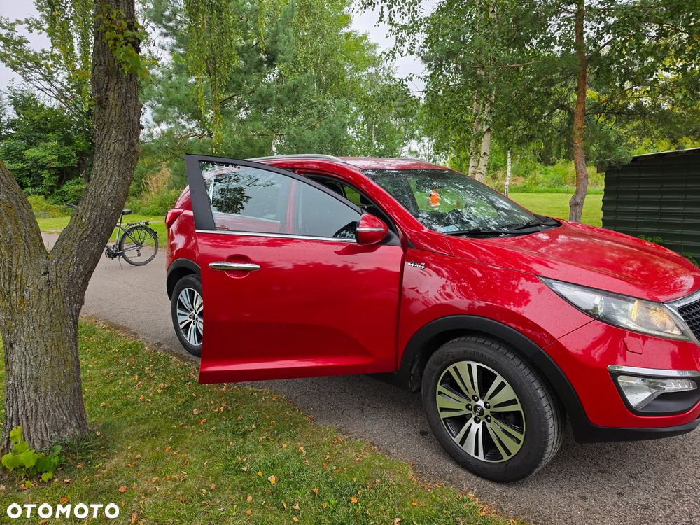 Kia Sportage - 22