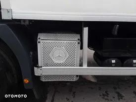 Mercedes-Benz Axor - 6