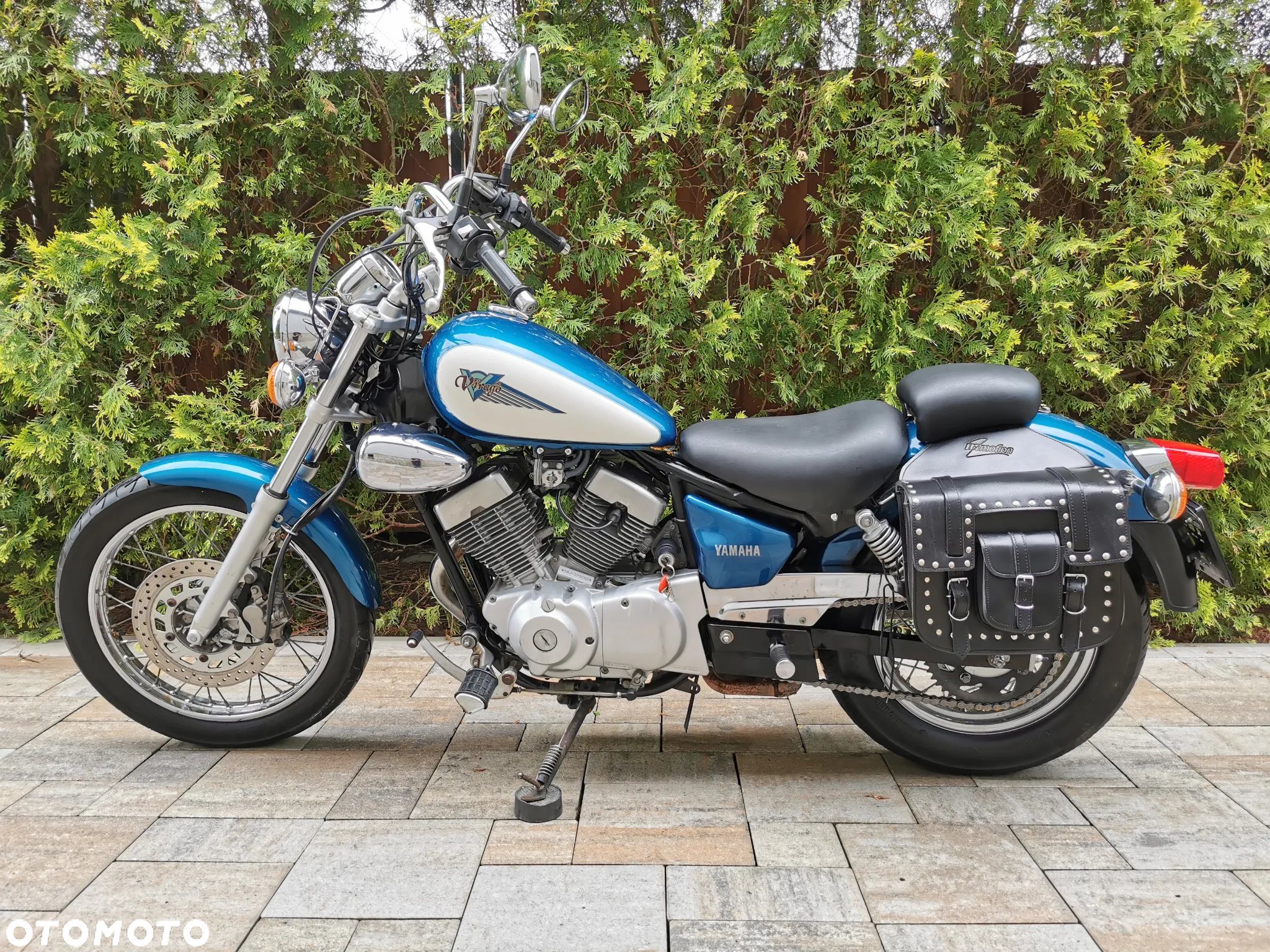 Yamaha Virago - 5