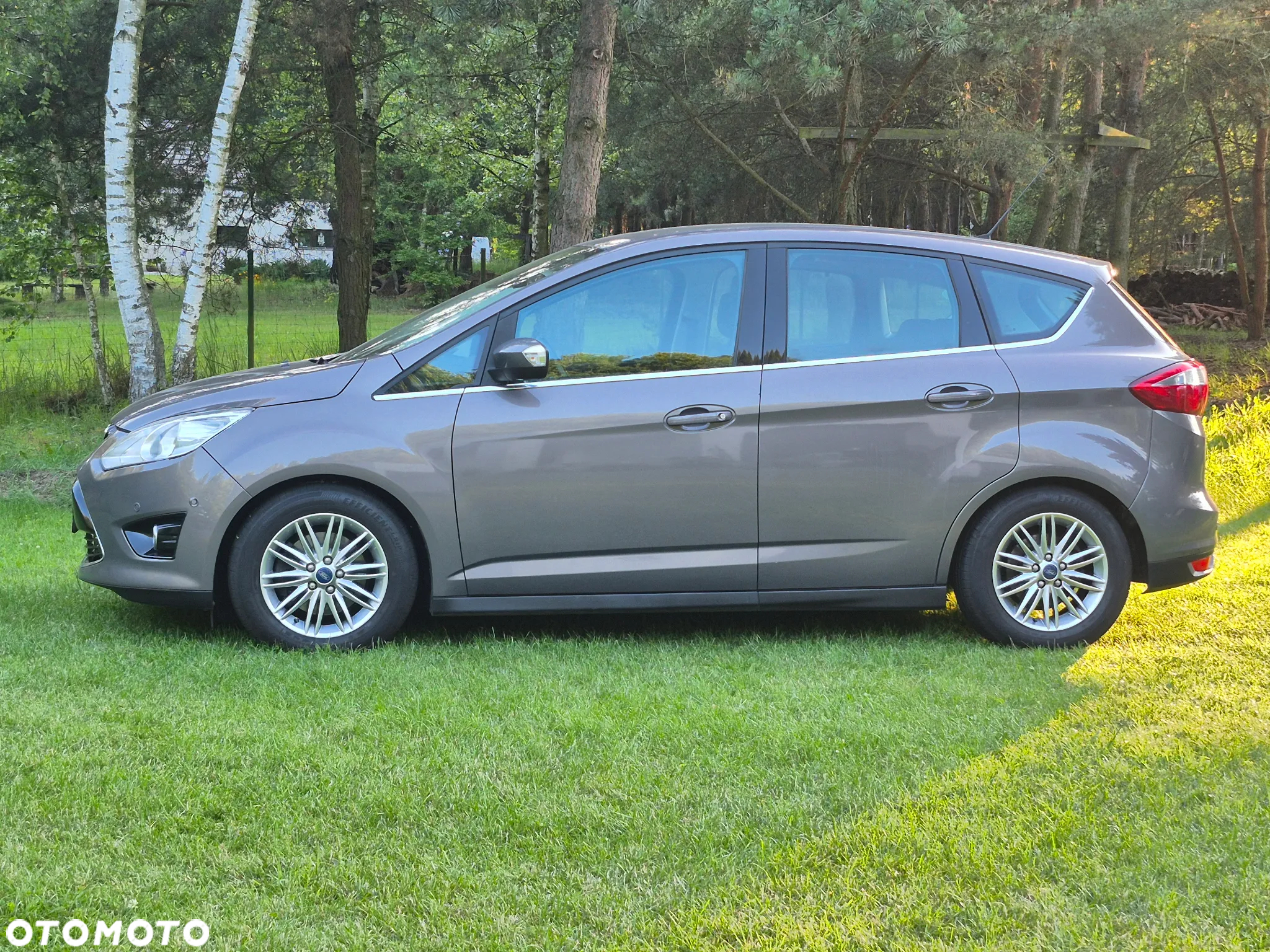 Ford C-MAX 2.0 TDCi Business Edition - 7