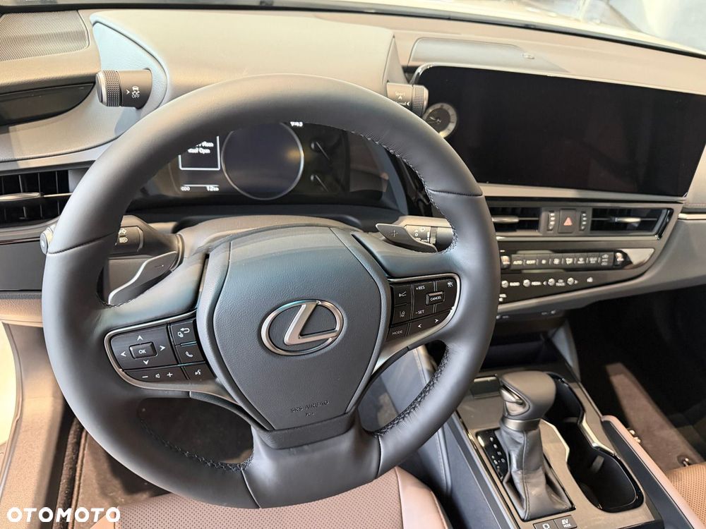 Lexus ES 300h Business Edition - 7