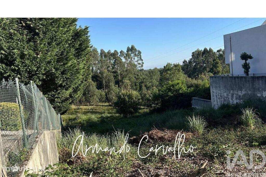 Terreno para construção em Santa Maria da Feira, Travanca, Sanfins e E - Grande imagem: 2/8