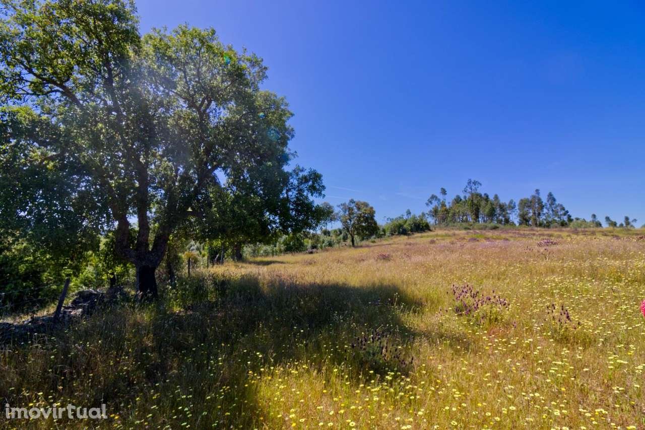 Quinta - Grande imagem: 2/15