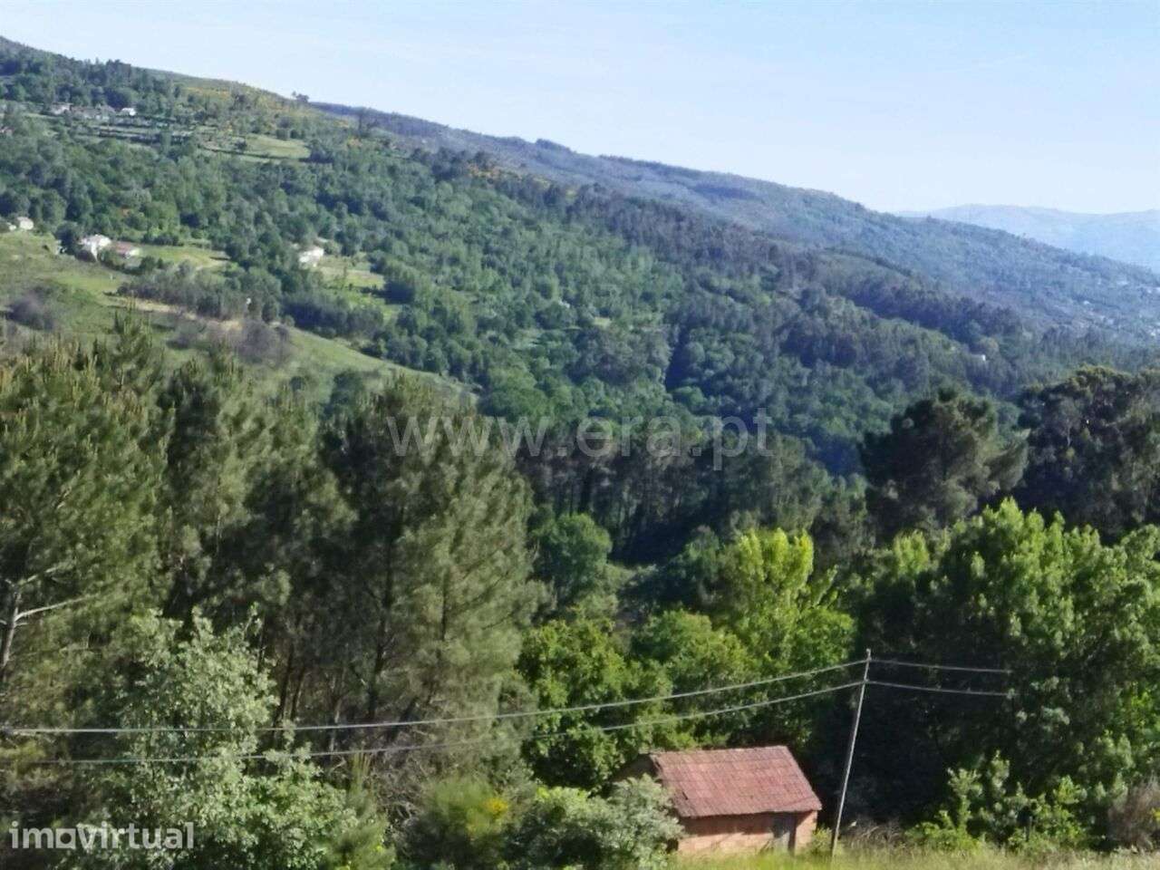 Terreno / Baião, Campelo e Ovil - Grande imagem: 2/4