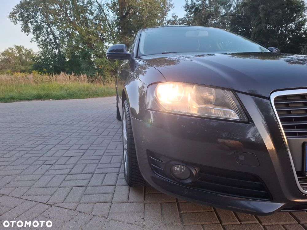 Audi A3 Sportback 1.6 Ambiente - 11