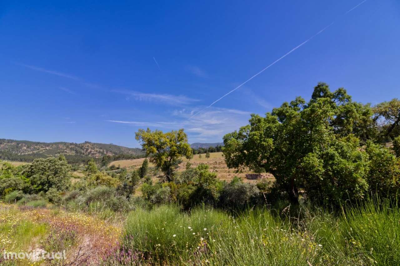 Quinta - Grande imagem: 5/15