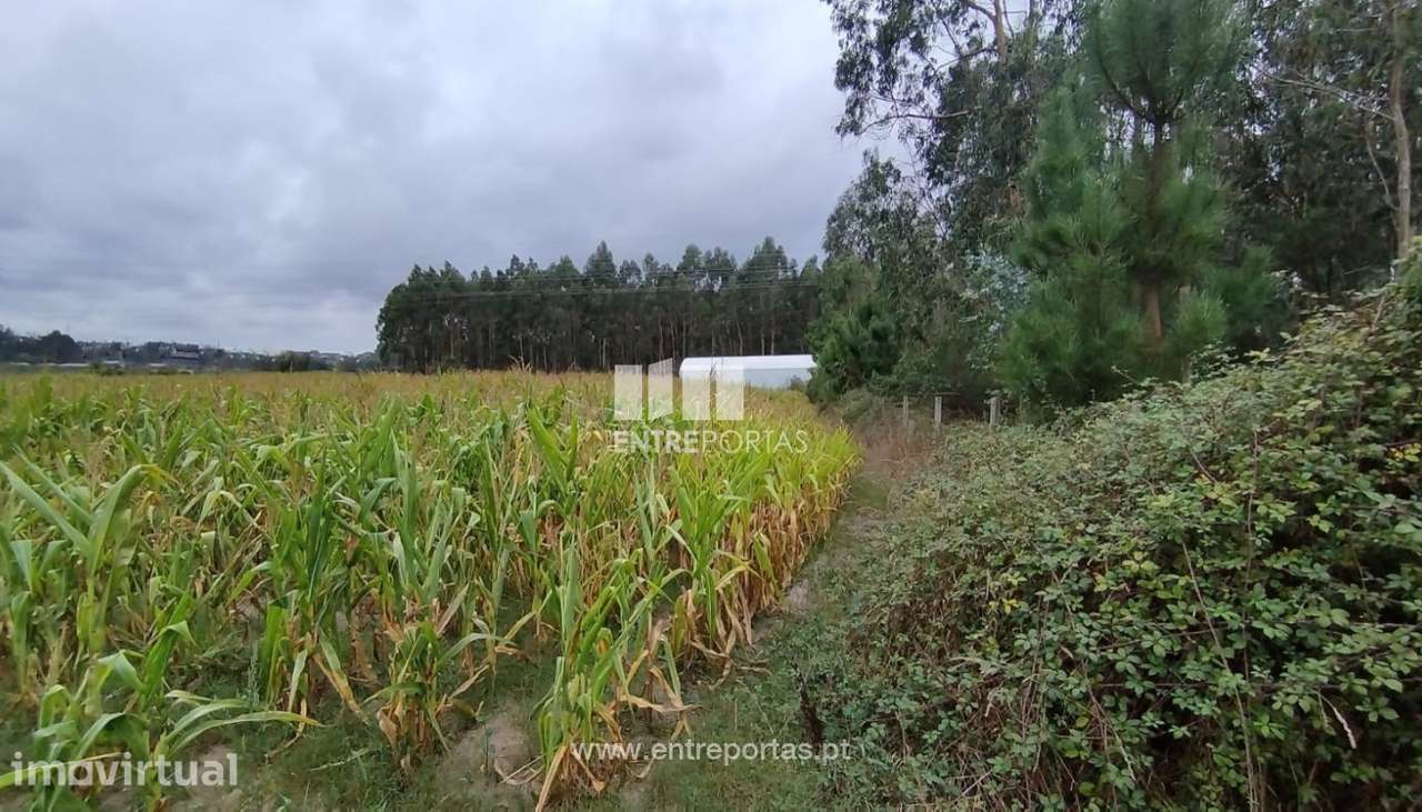 Venda de Terreno industrial com 14 490 m2, Guilhabreu, Vila do Conde - Grande imagem: 3/11