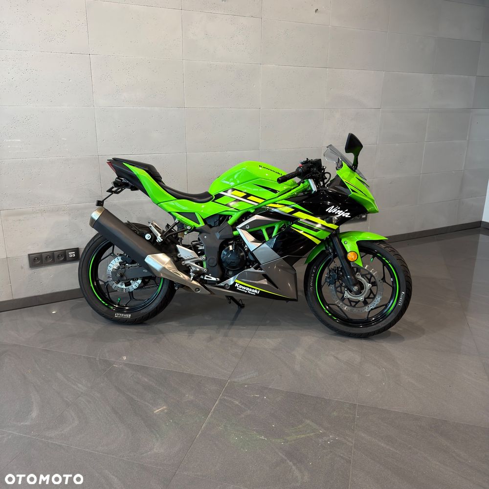 Kawasaki Ninja - 2