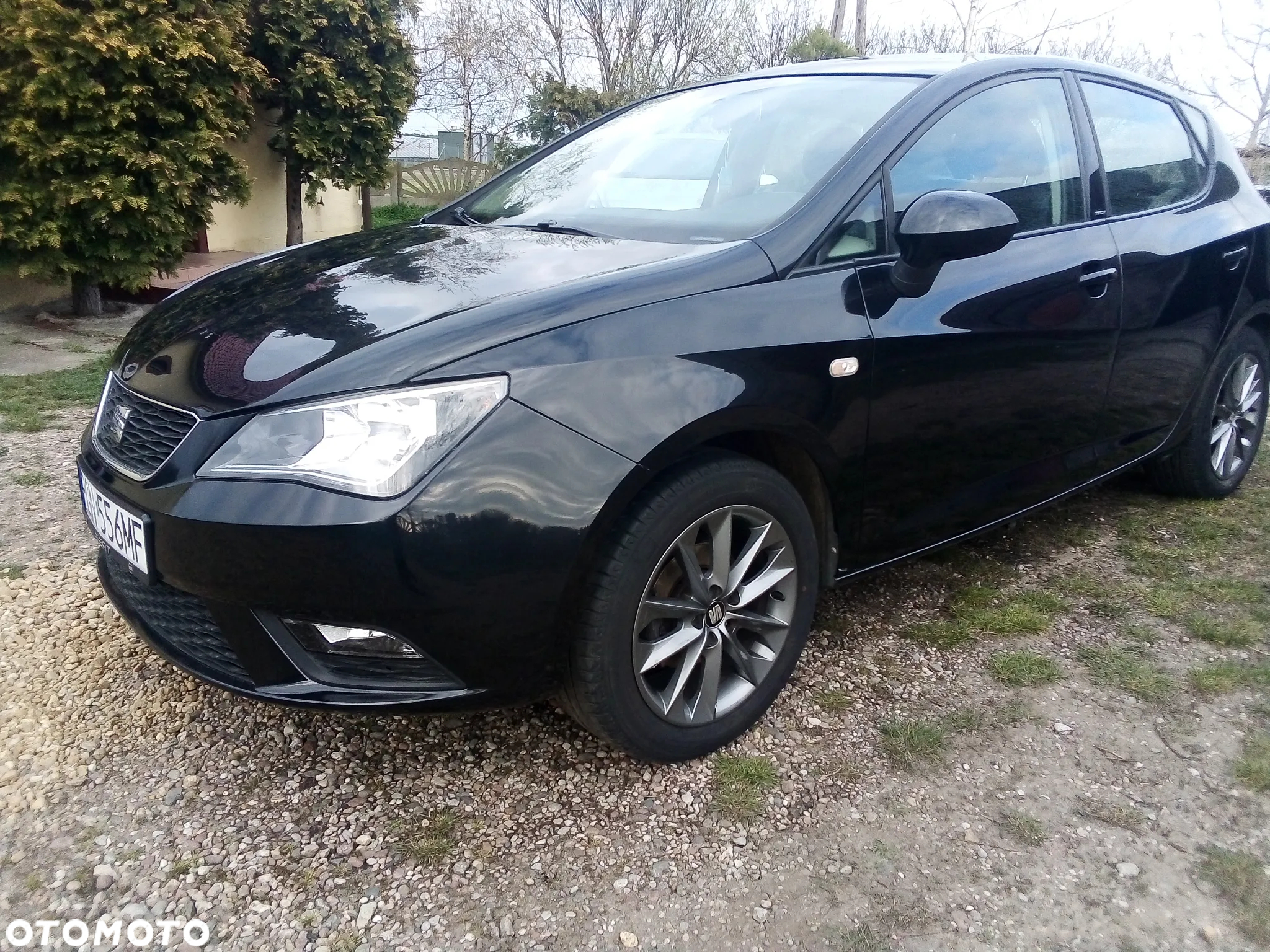 Seat Ibiza 1.6 TDI DPF Reference - 2