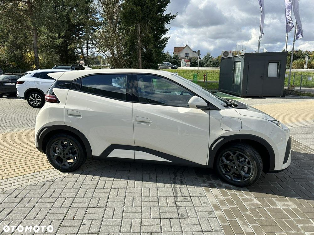 BYD Dolphin Surf - 8