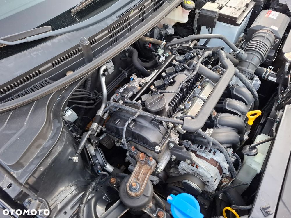 Kia Rio - 22
