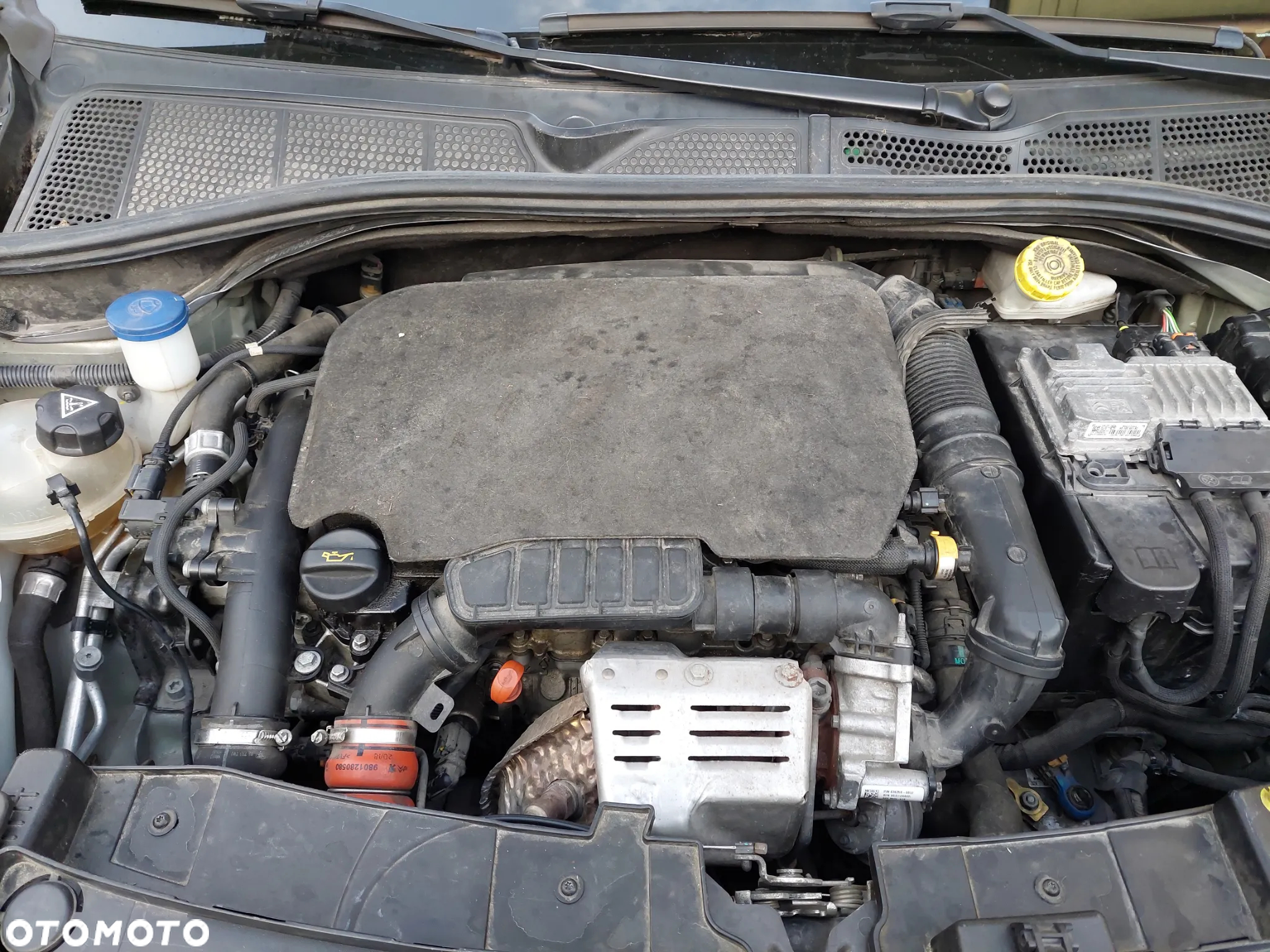 Citroën C4 Cactus 1.2 PureTech Shine S&S EAT6 - 15