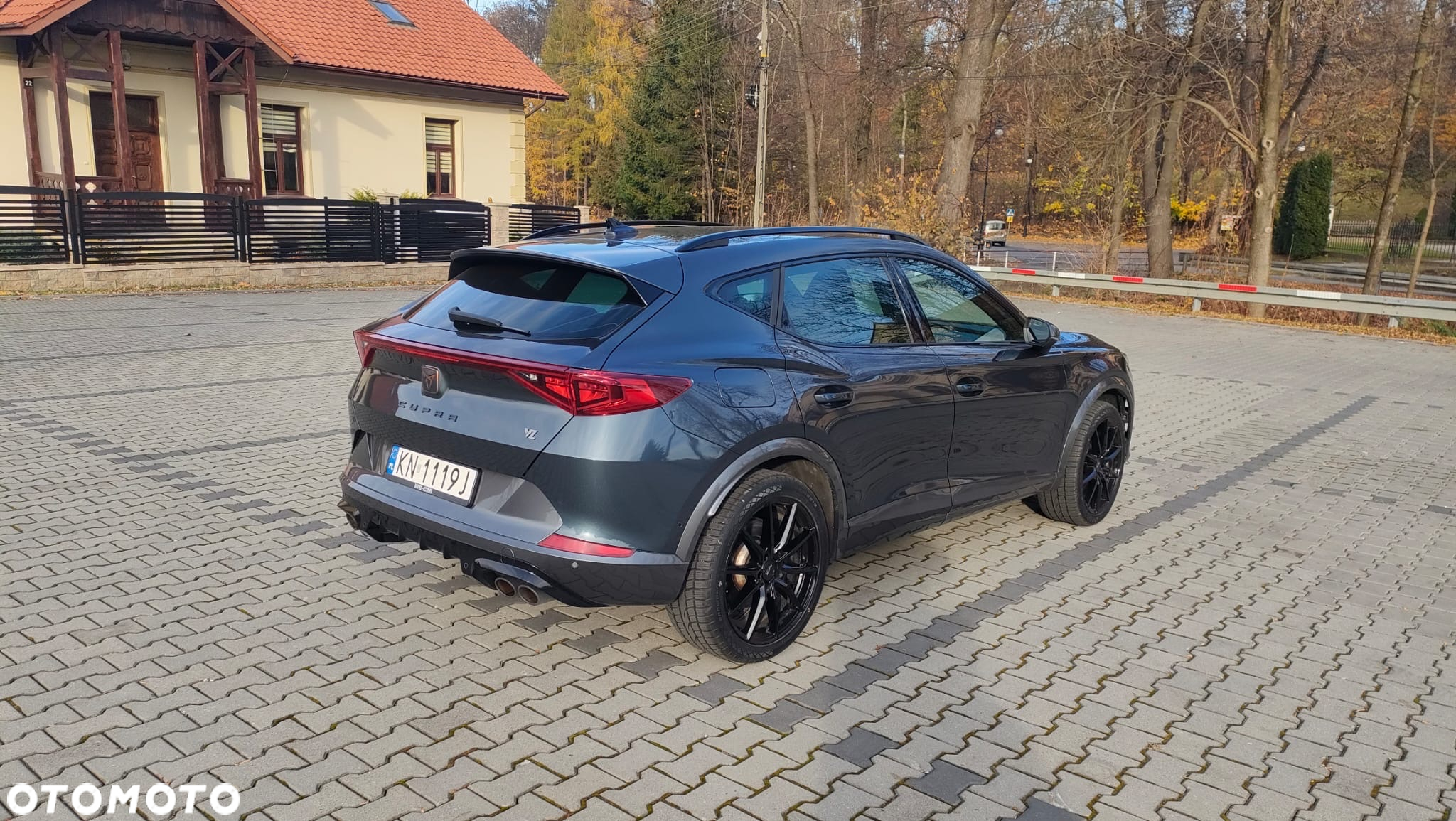 Cupra Formentor 2.0 TSI 4Drive VZ DSG - 9