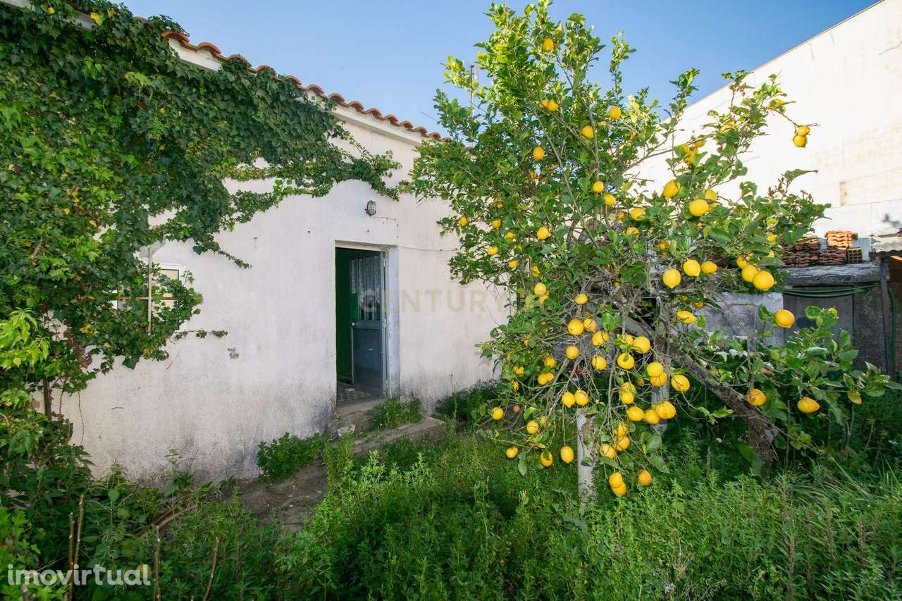 Moradia Térrea para Recuperação no Monte Formoso, Coimbra - Grande imagem: 3/18