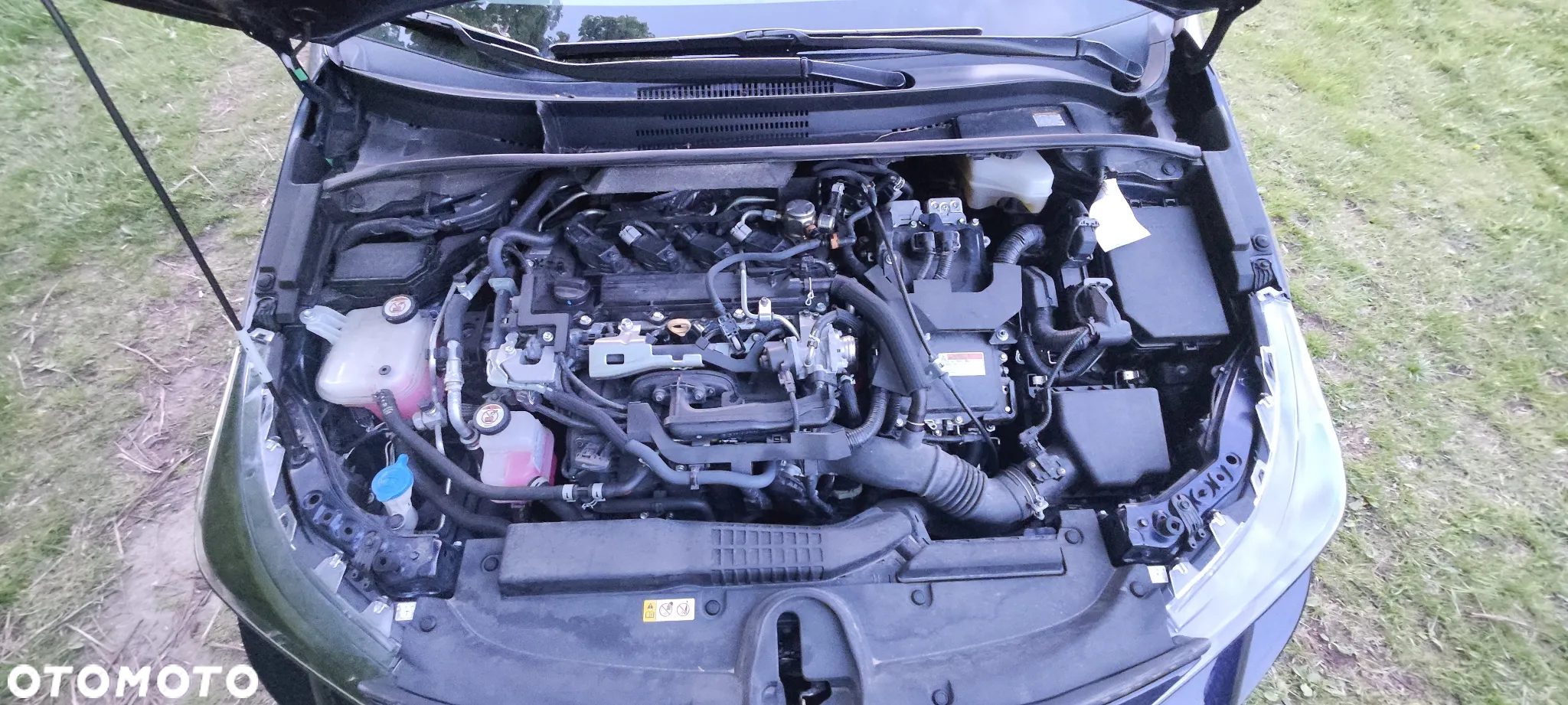 Toyota Corolla - 15
