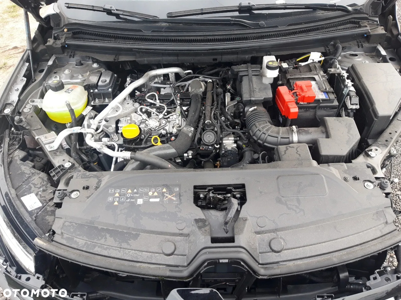 Renault Austral Mild Hybrid 160 Automatik Techno Esprit Alpine - 13