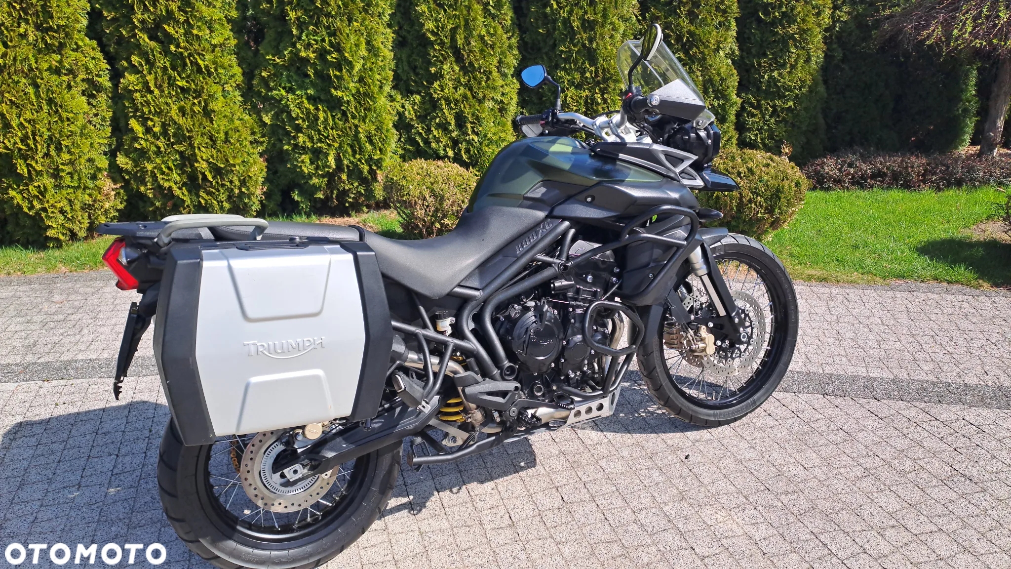 Triumph Tiger - 4