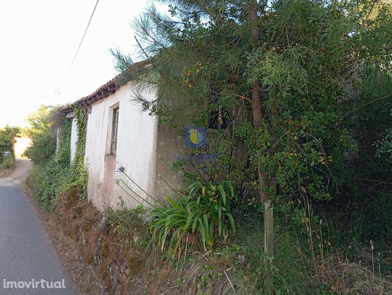 Antiga Carpintaria na Localidade da Cumeira da Cruz - Alvorninha! - Grande imagem: 4/13