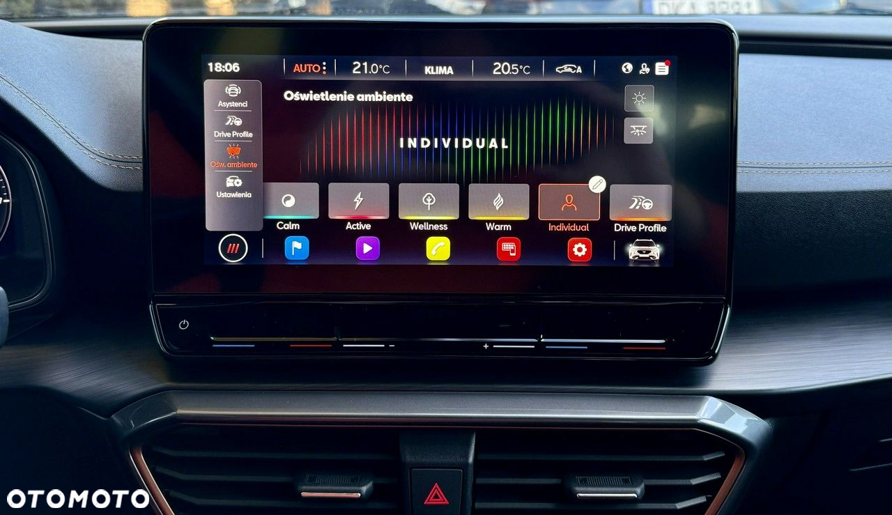Cupra Formentor 2.0 TDI - 28