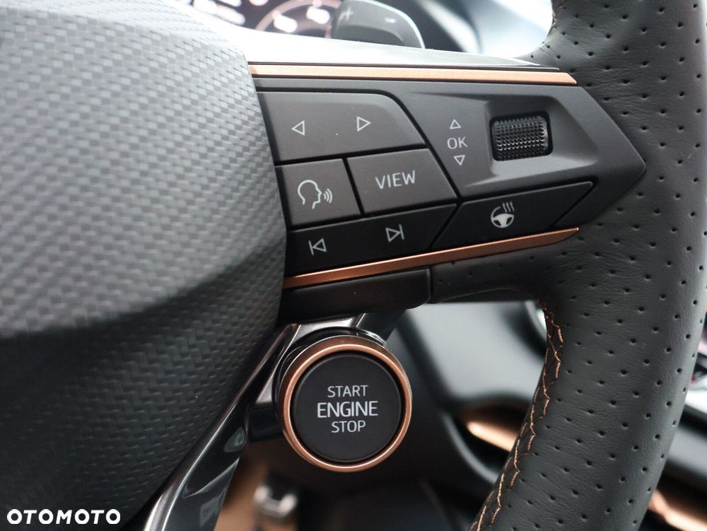 Cupra Terramar 1.5 eTSI mHEV DSG - 26