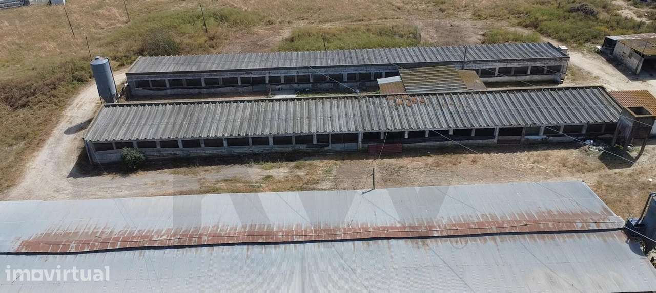 Exploração Agropecuária Licenciada com 1,88 ha – Palmela (Vale de Cant - Grande imagem: 4/22