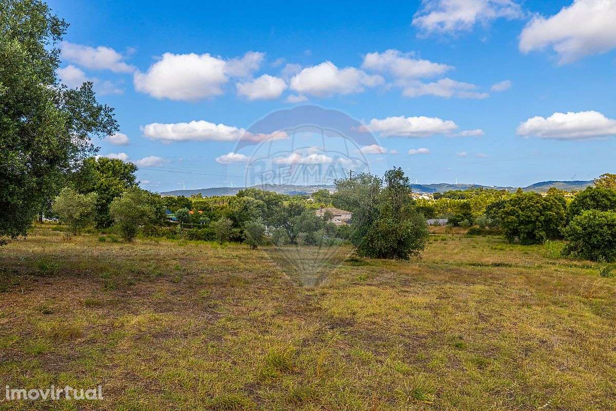 Terreno  para venda - Grande imagem: 3/7