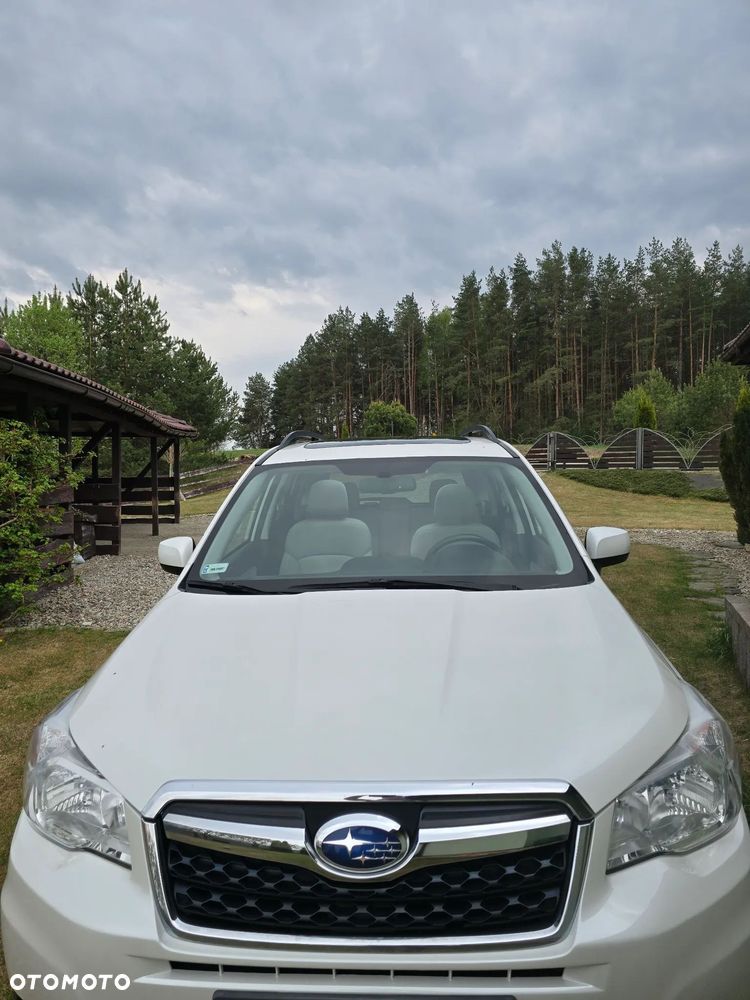 Subaru Forester - 14