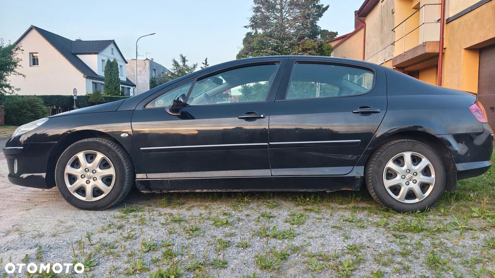 Peugeot 407 - 6