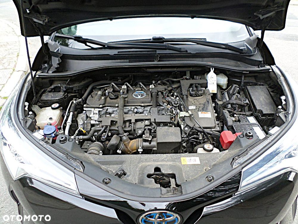 Toyota C-HR Club - 34