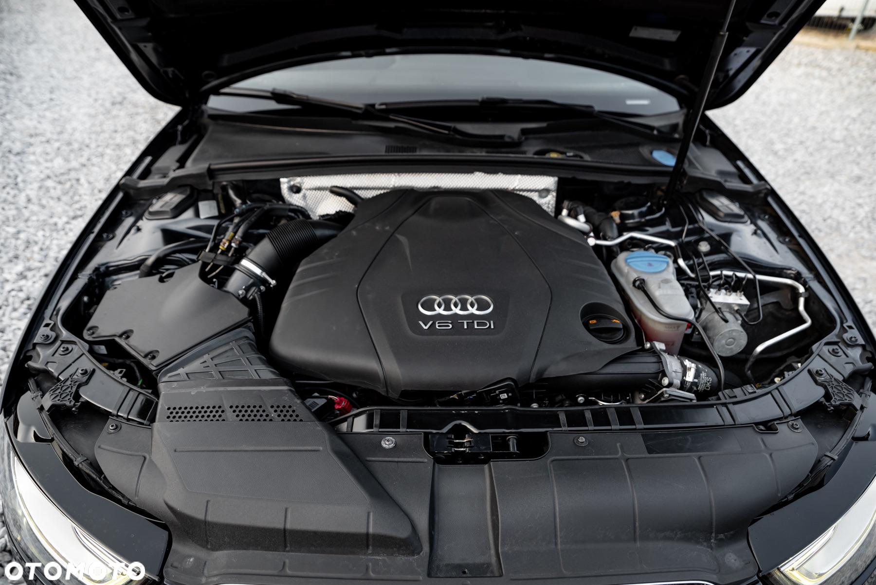 Audi A4 Allroad quattro 3.0 TDI DPF S tronic - 39
