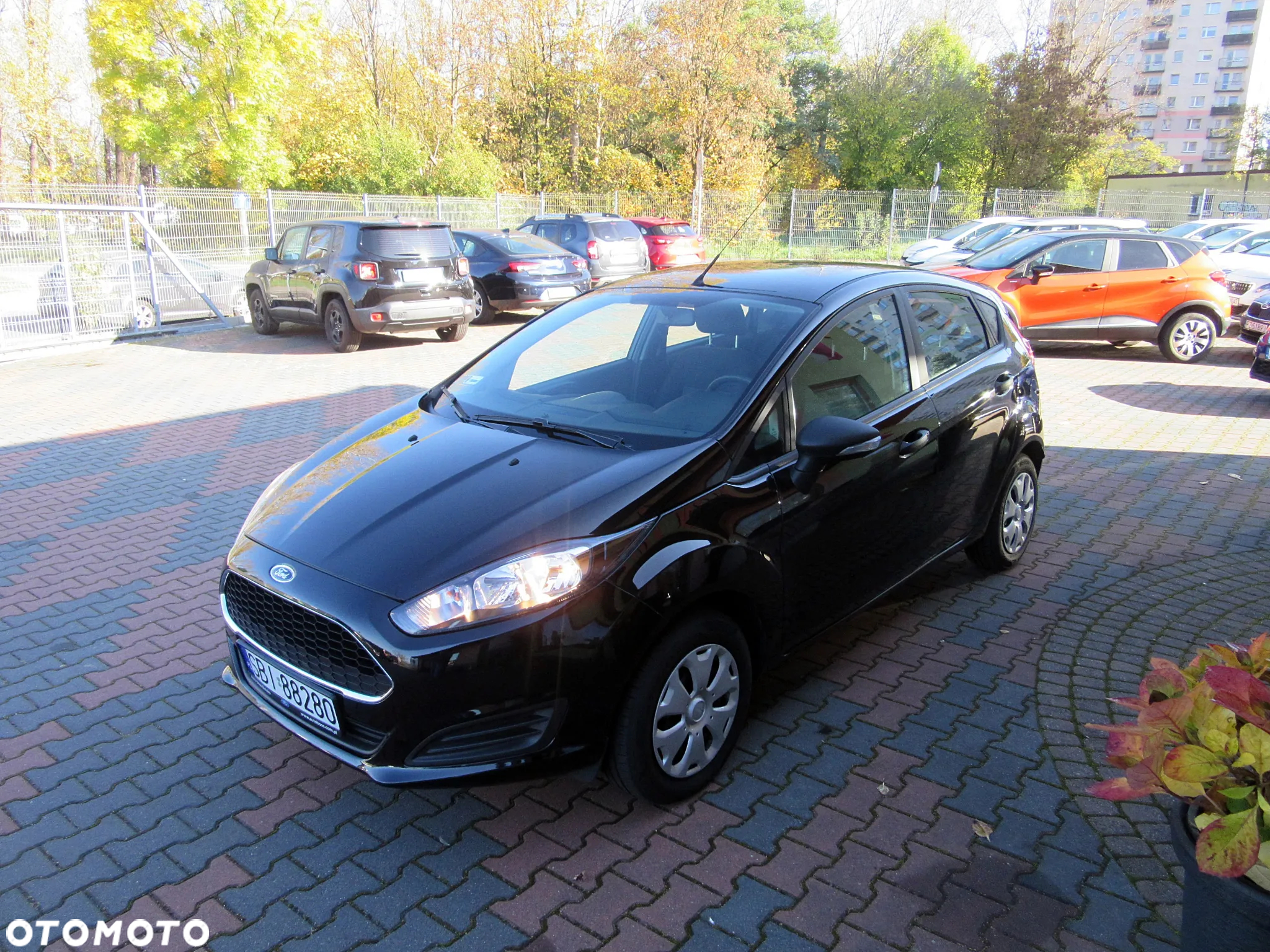 Ford Fiesta - 3
