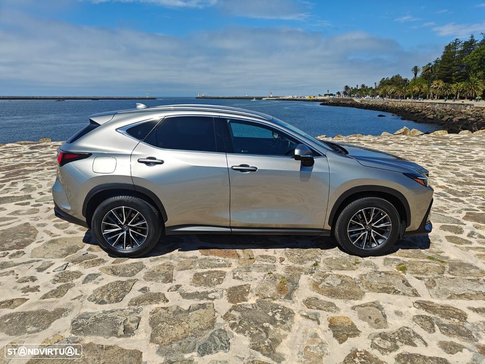 Lexus NX 450h+ Executive+ - 11