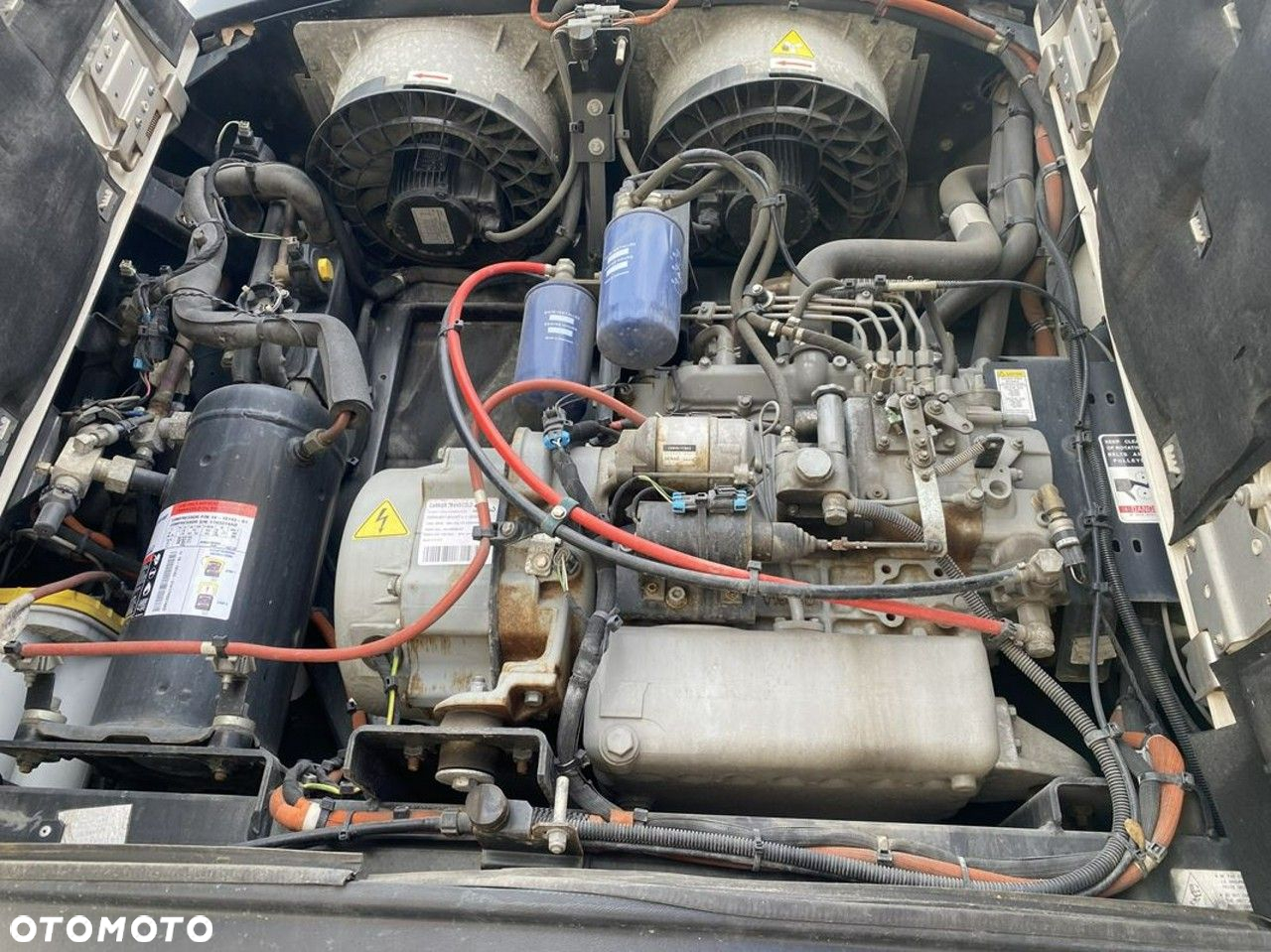 Schmidt sko - 14