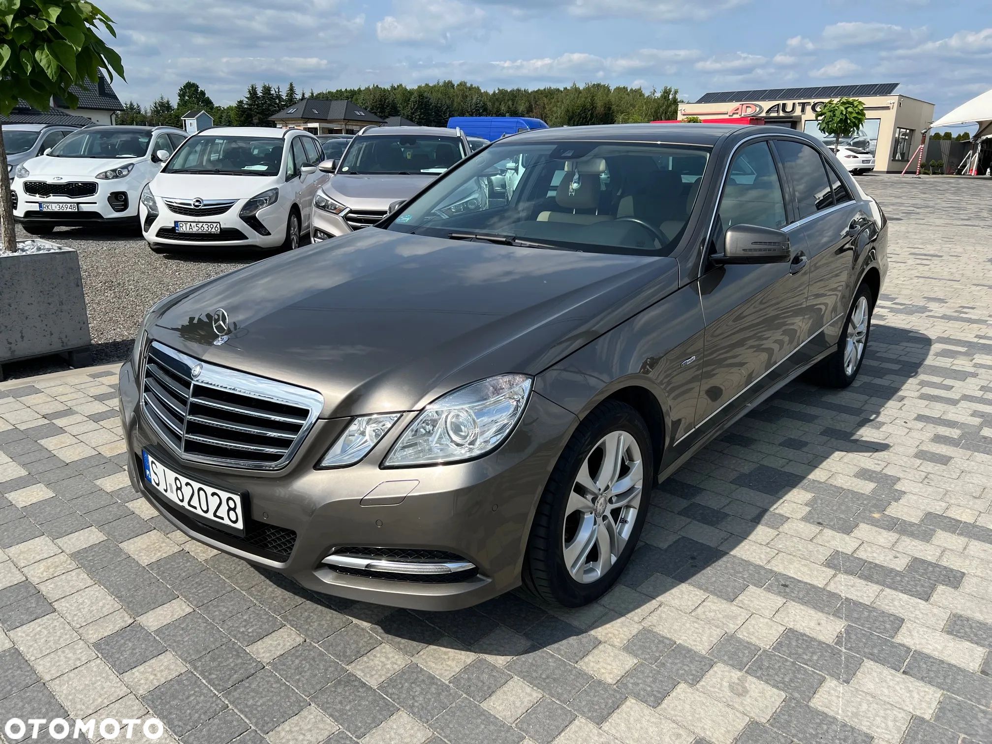 Mercedes-Benz Klasa E 220 CDI BlueEff Avantgarde - 1