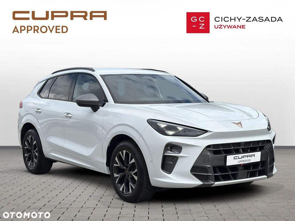 Cupra Terramar - 8