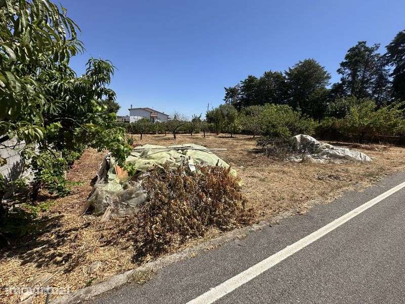 Lote para construção - Grande imagem: 3/5