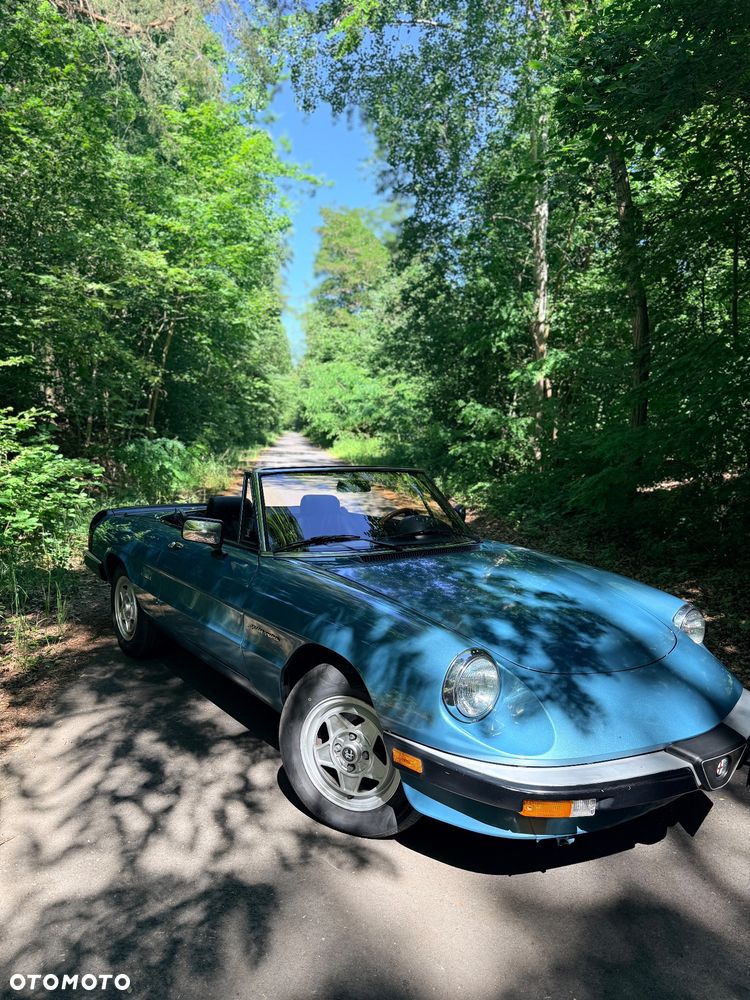 Alfa Romeo Spider - 1