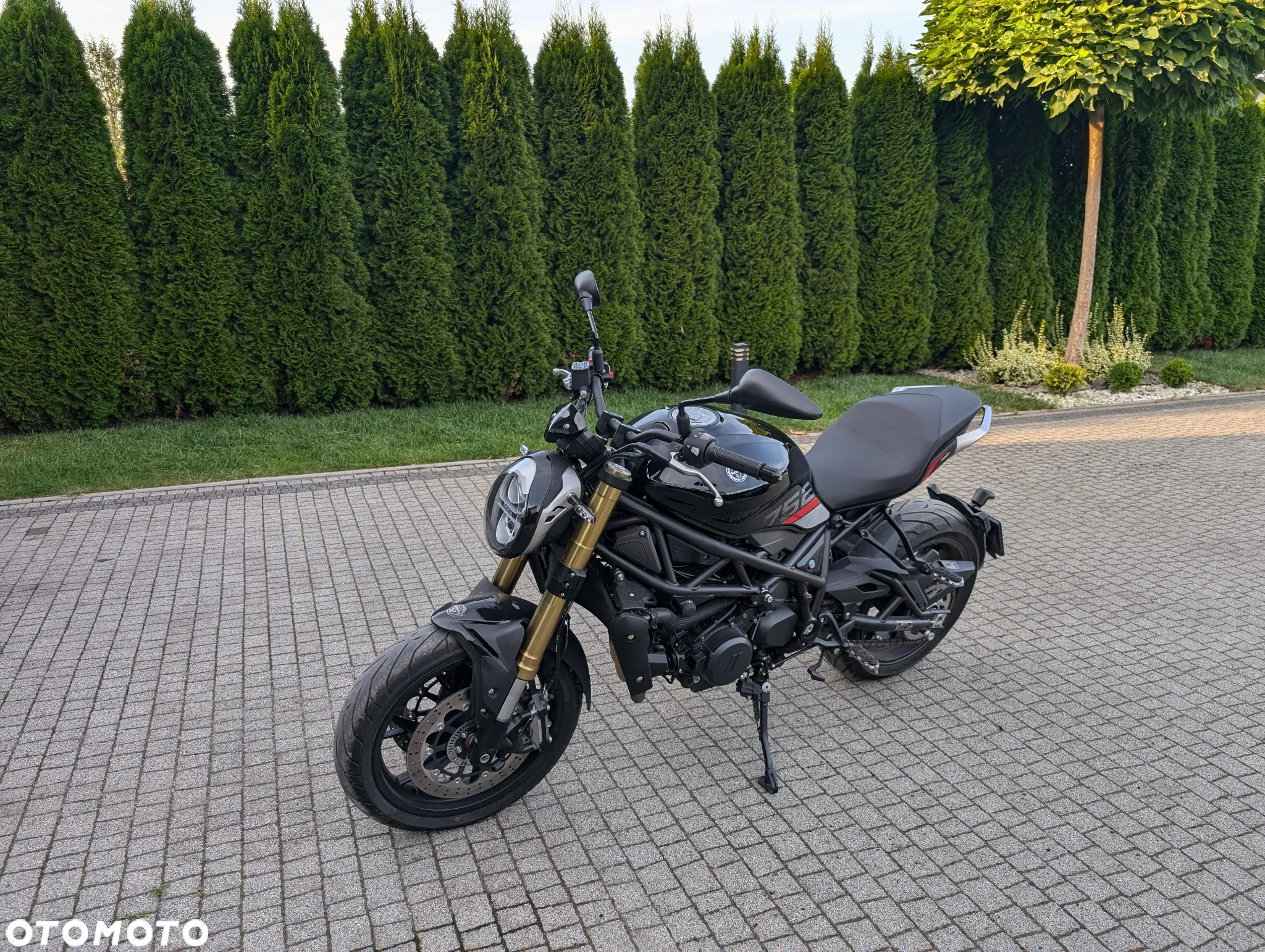 Benelli 752 S - 3