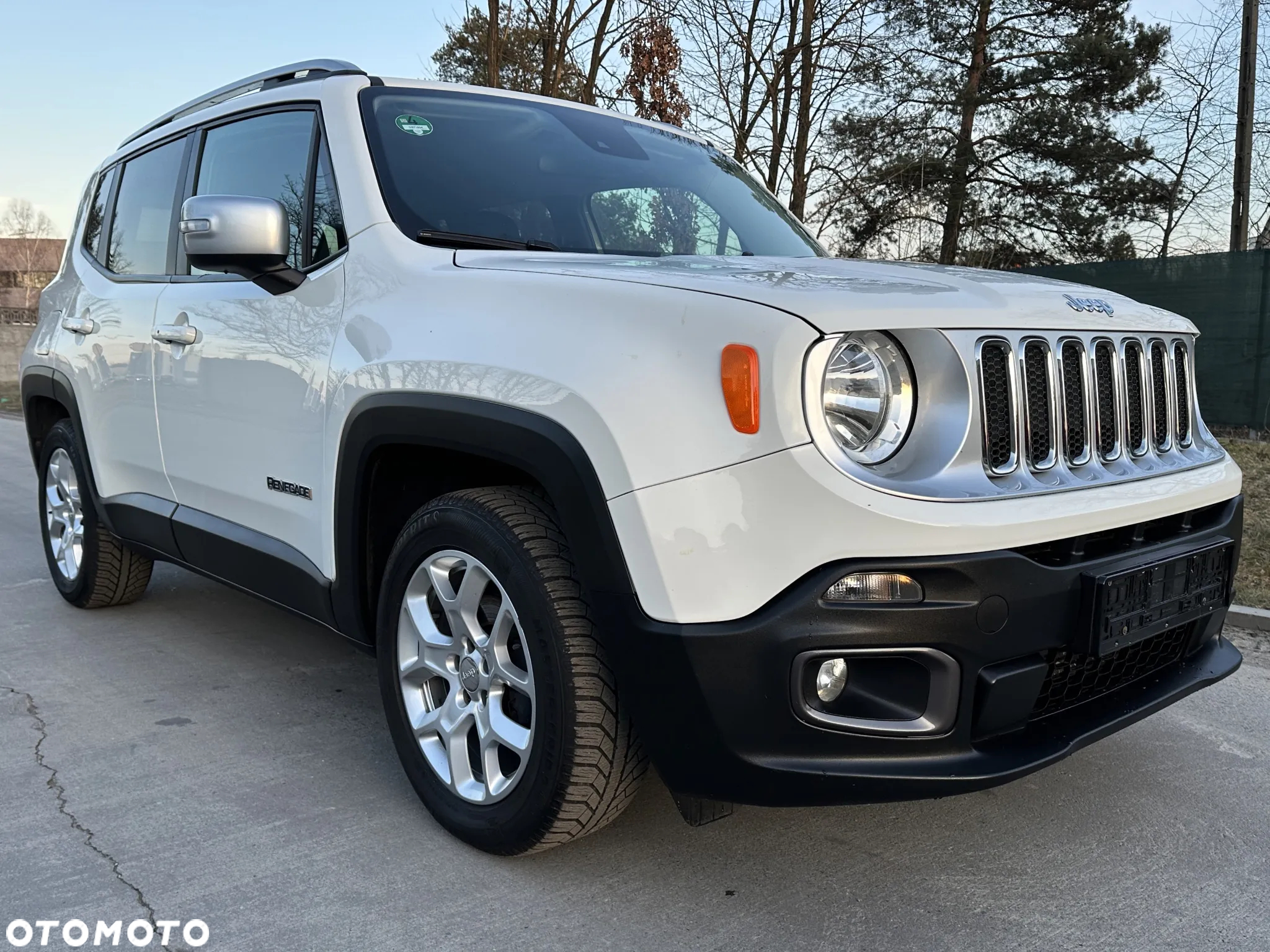 Jeep Renegade 1.4 MultiAir Limited FWD S&S - 16