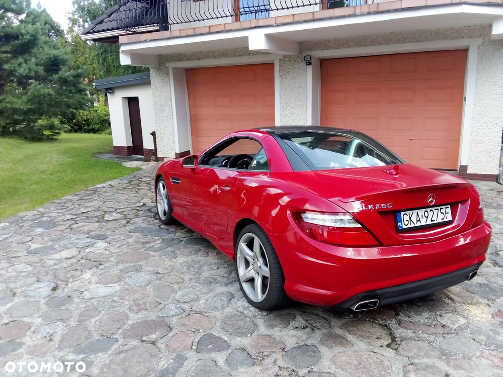 Mercedes-Benz SLK 250 (BlueEFFICIENCY) 7G-TRONIC - 5