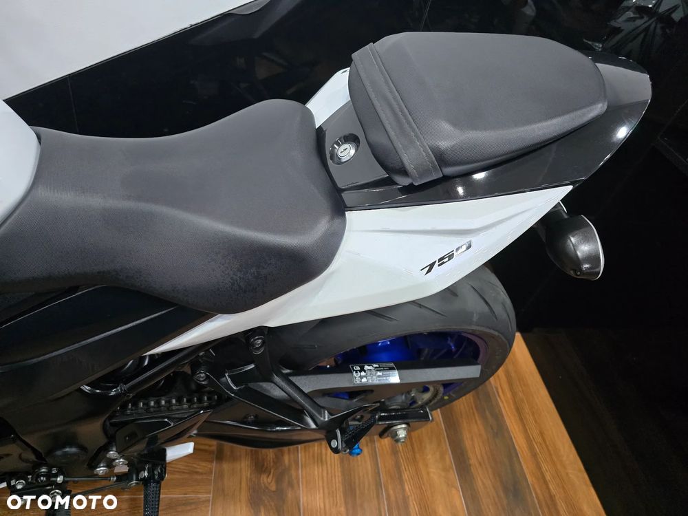 Suzuki GSX - 21