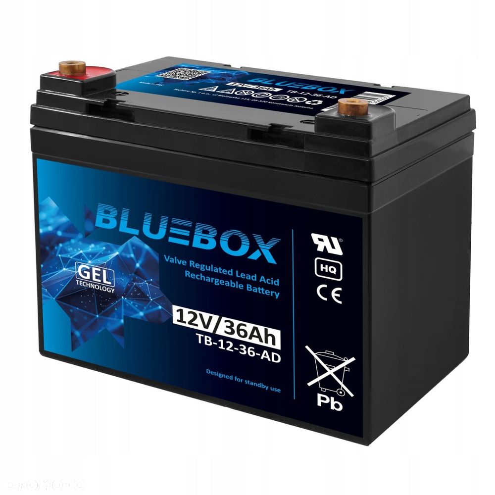 Akumulator BLUEBOX VRLA AGM 12V 36Ah 198x166x170 - 2
