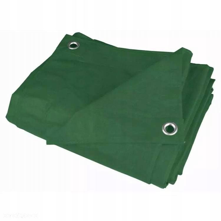 Dedra N06058 Plandeka 5x8 m 80 g/m2 zielona - 1